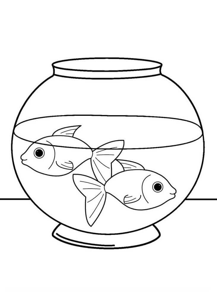 3 Yaş