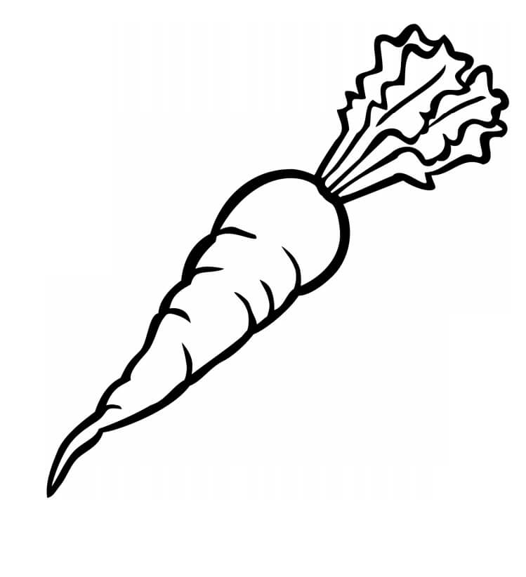 3 Yaş