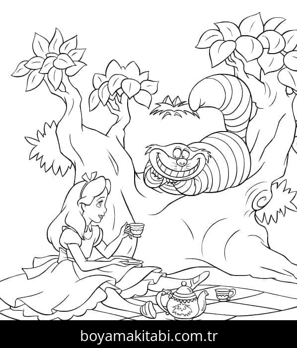 Alis Harikalar Diyarında