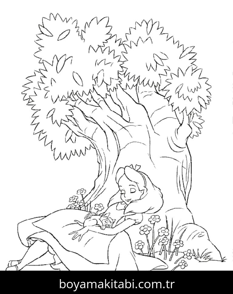 Alis Harikalar Diyarında