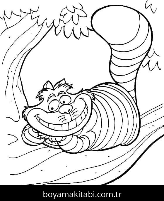 Alis Harikalar Diyarında