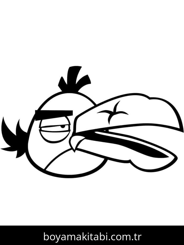 Angry Birds