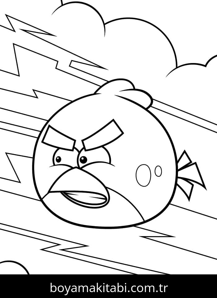 Angry Birds
