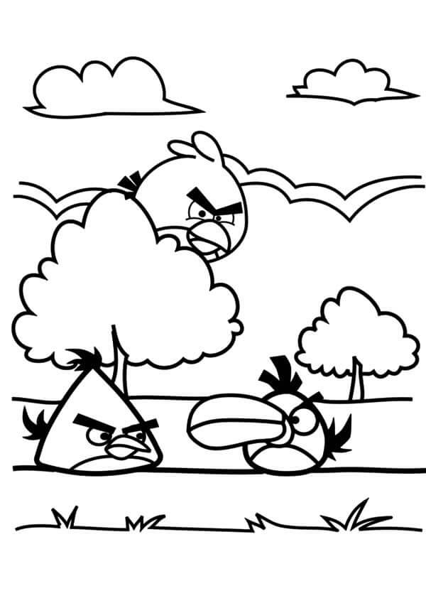 Angry Birds