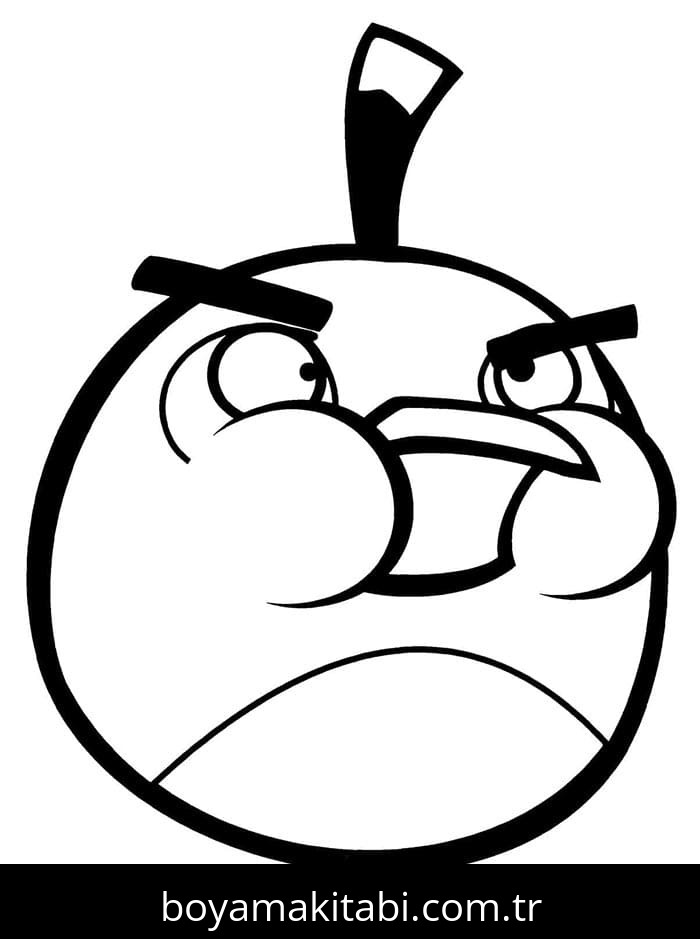Angry Birds