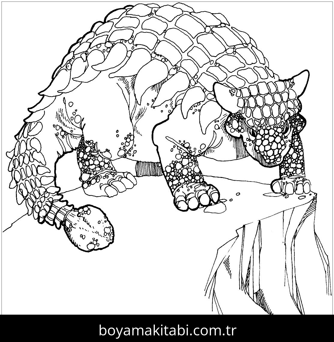 Ankylosaurus Dinazor