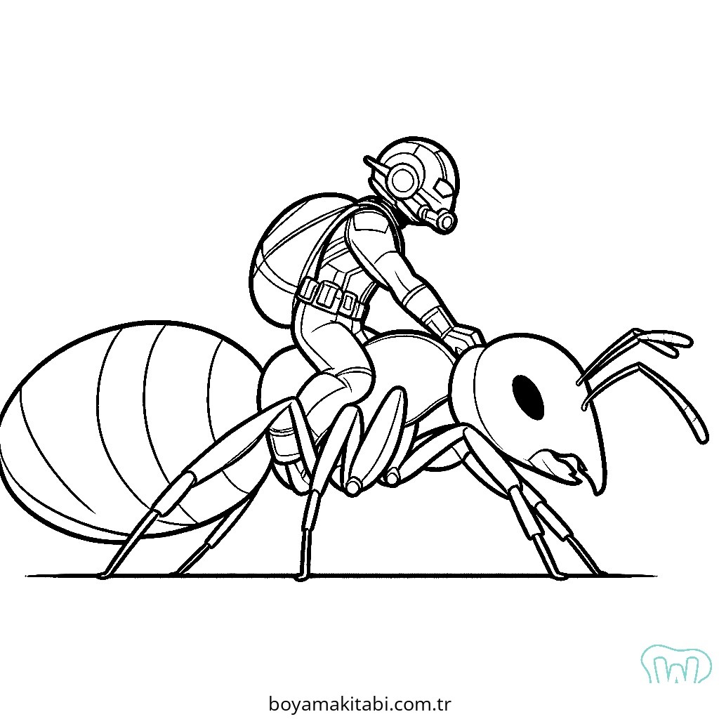 Ant Man
