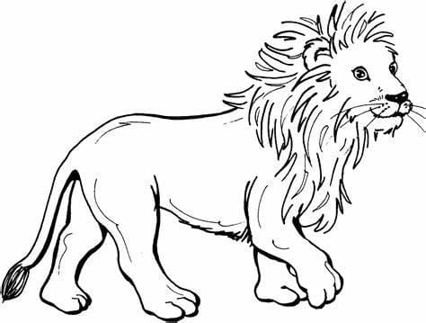 Aslan