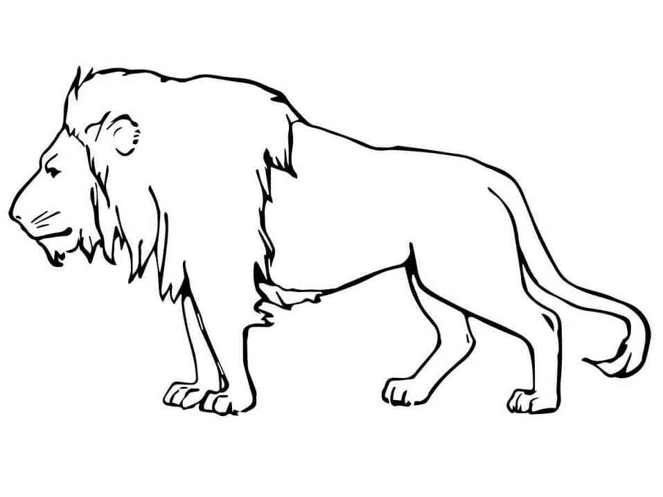 Aslan