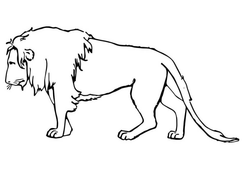 Aslan