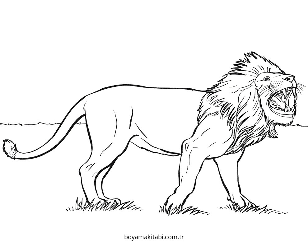 Aslan