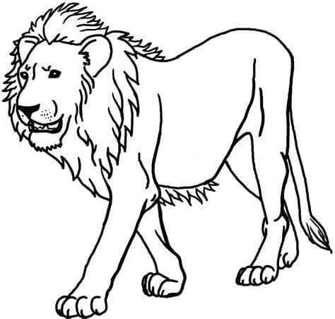 Aslan