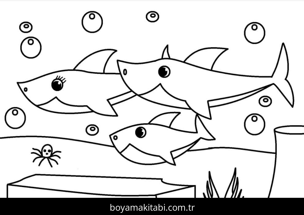 Baby Shark