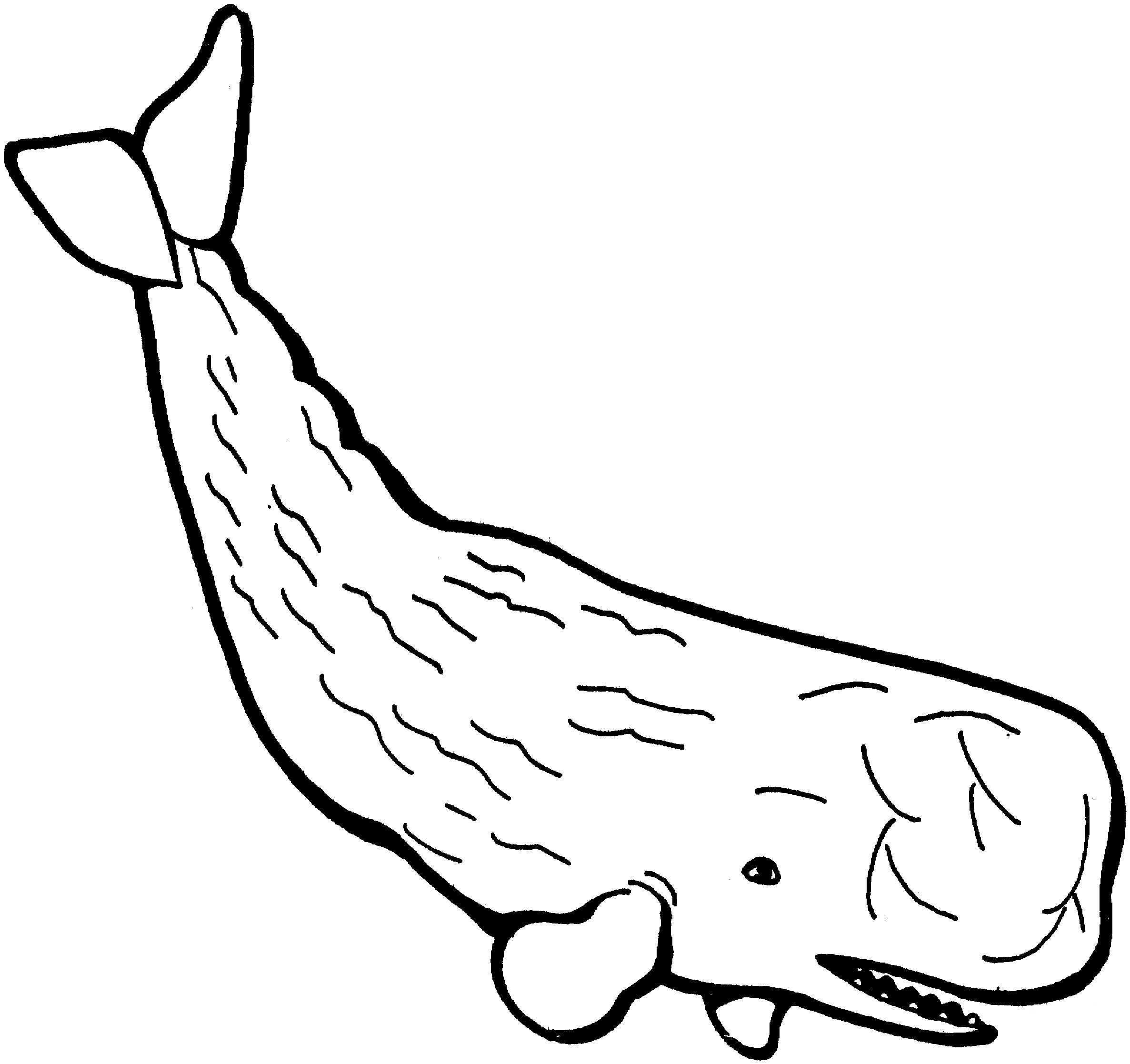 Balina
