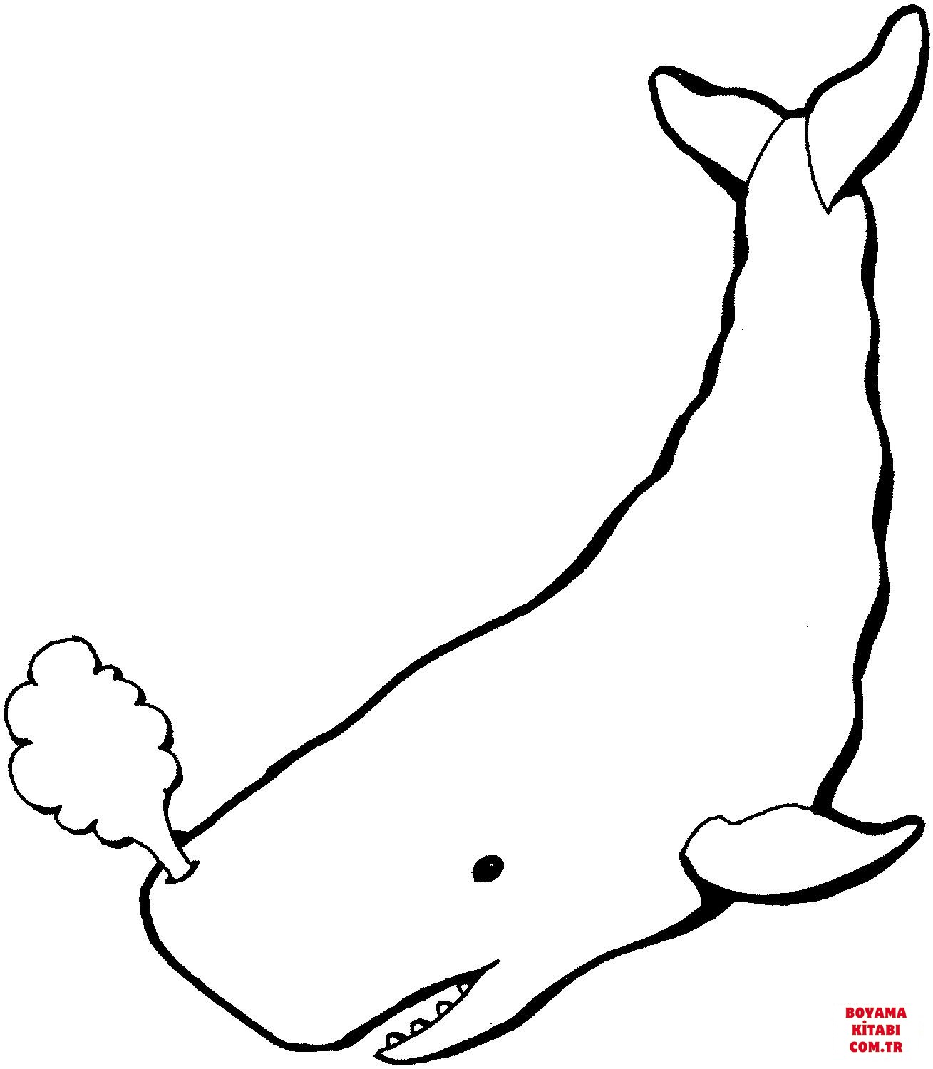 Balina