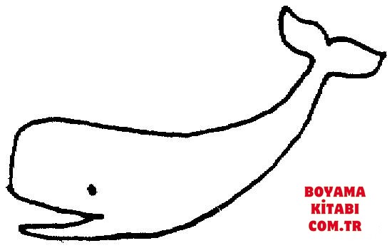 Balina