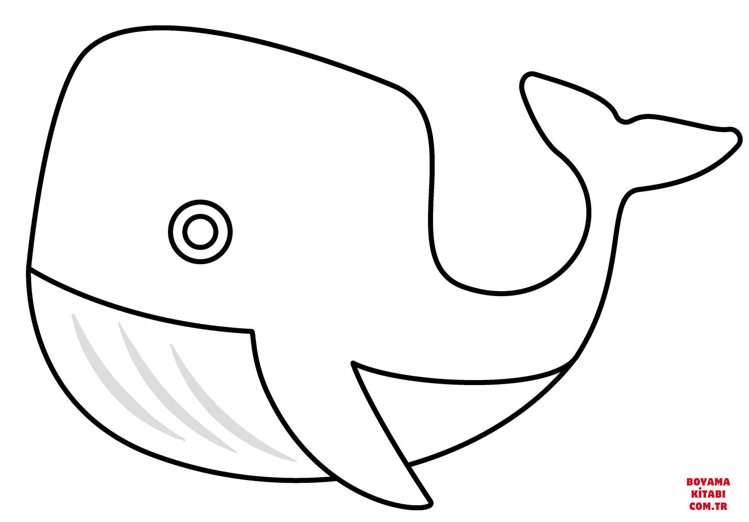 Balina