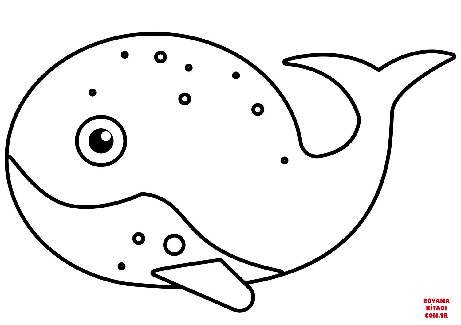 Balina