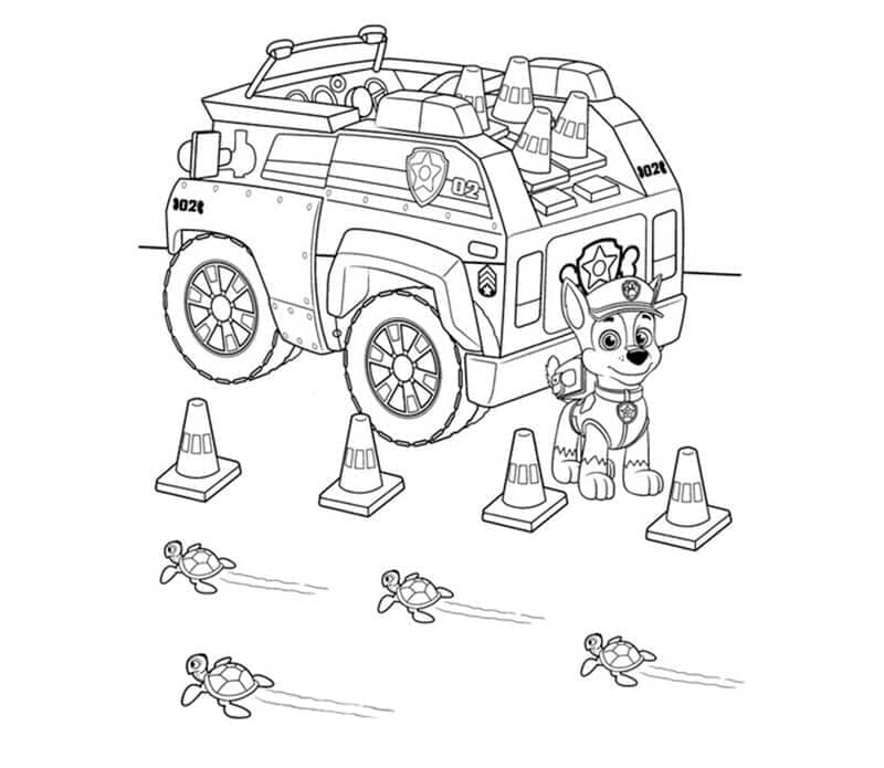 Chase Paw Patrol