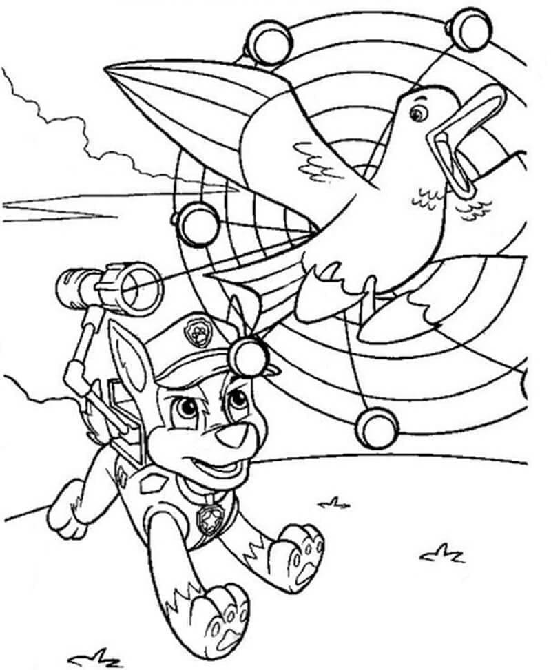 Chase Paw Patrol