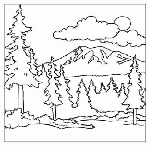 Dağ