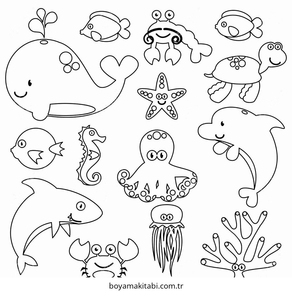 Deniz Hayvanları