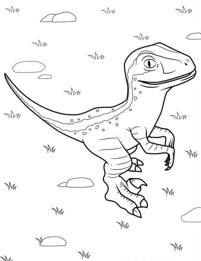 Dinozor
