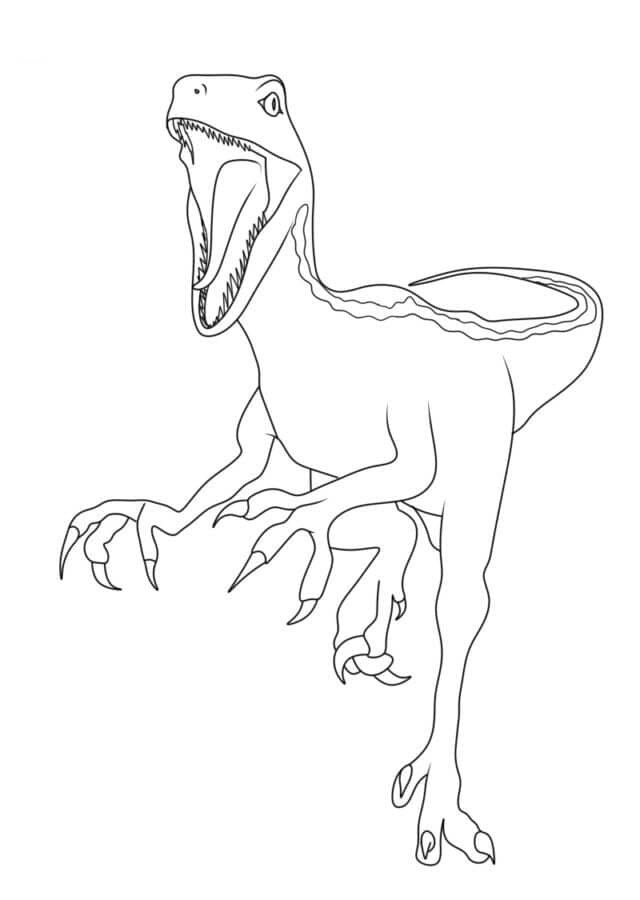 Dinozor