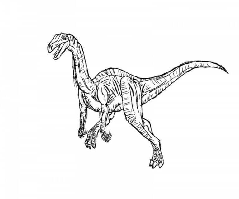 Dinozor