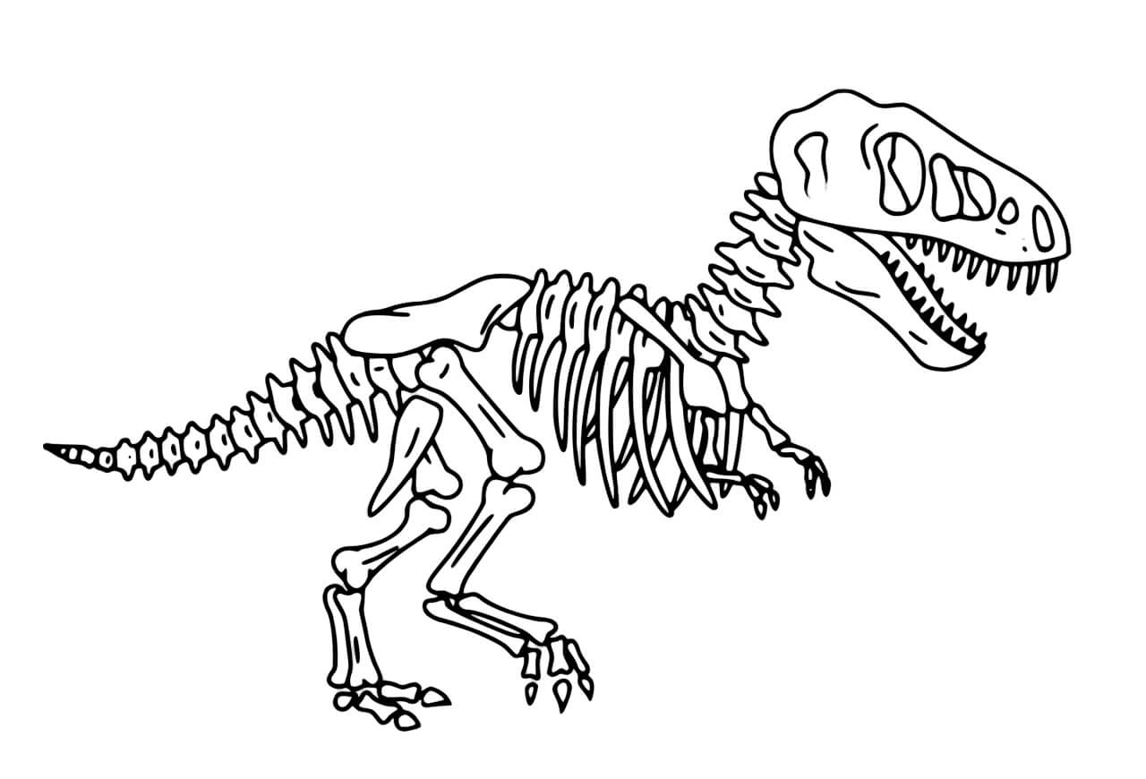Dinozor