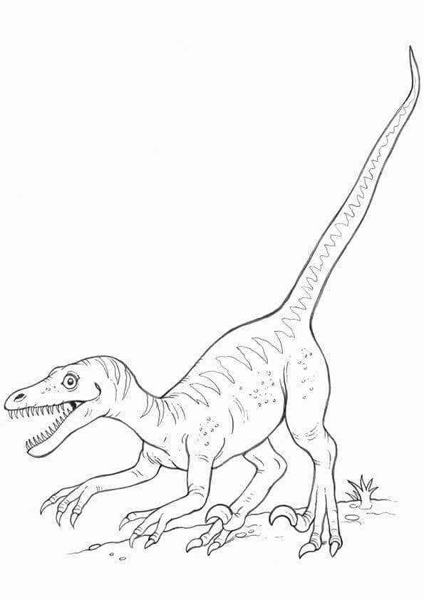 Dinozor