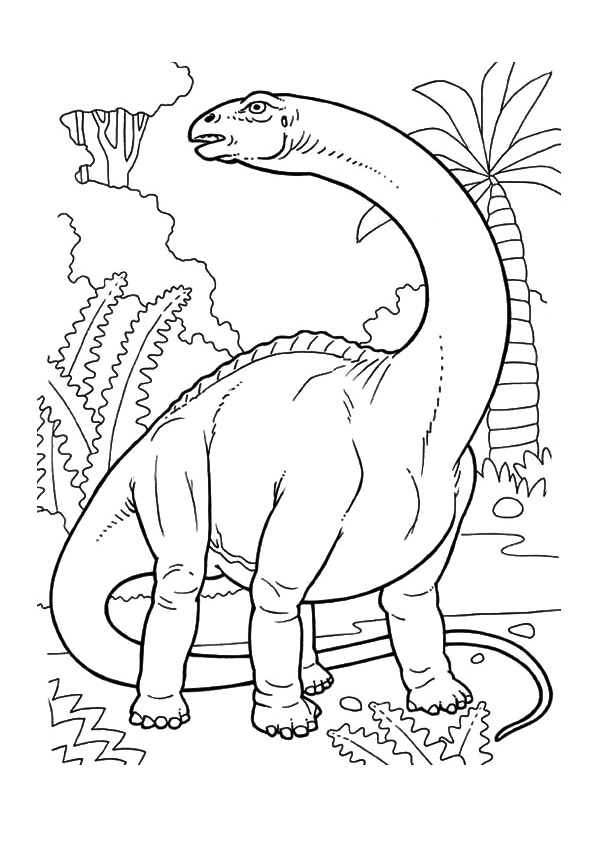 Dinozor