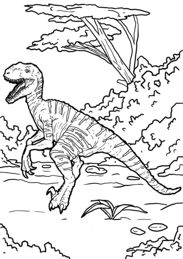 Dinozor