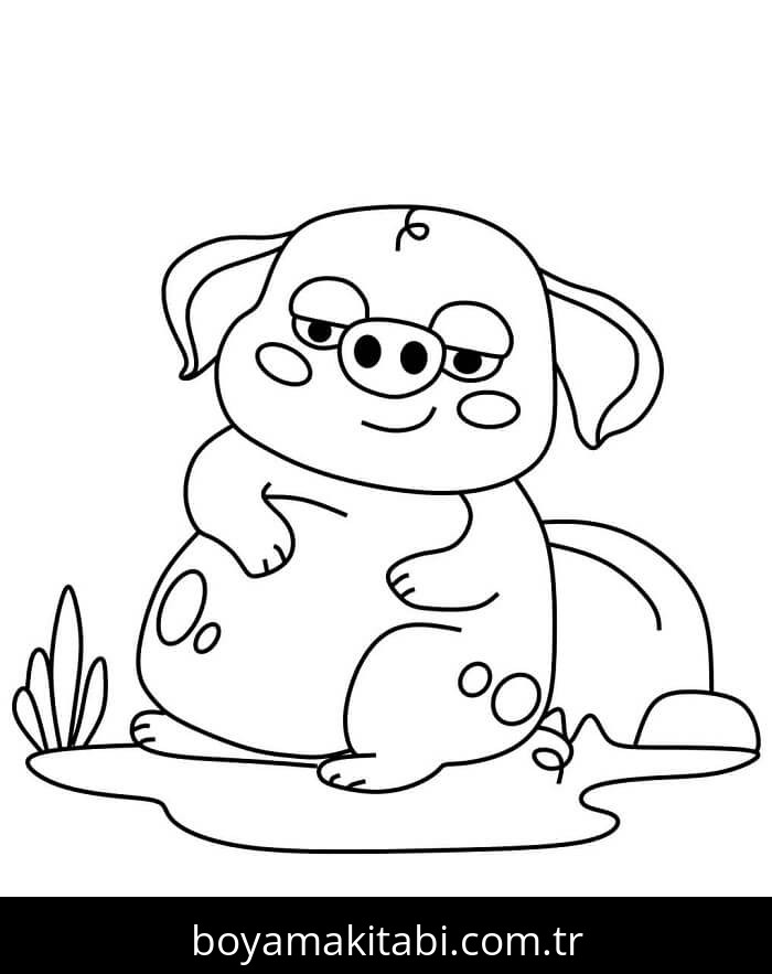 Domuz