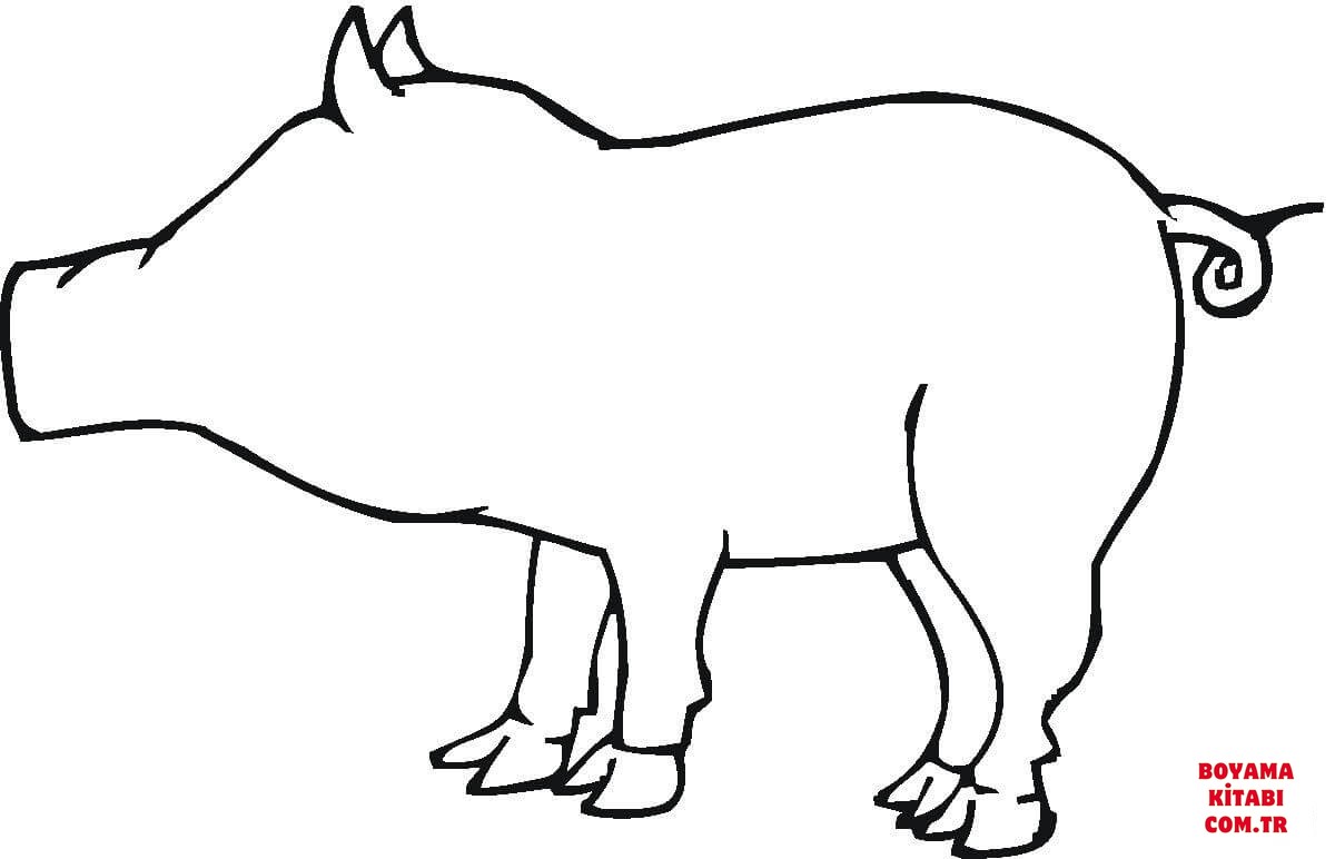 Domuz