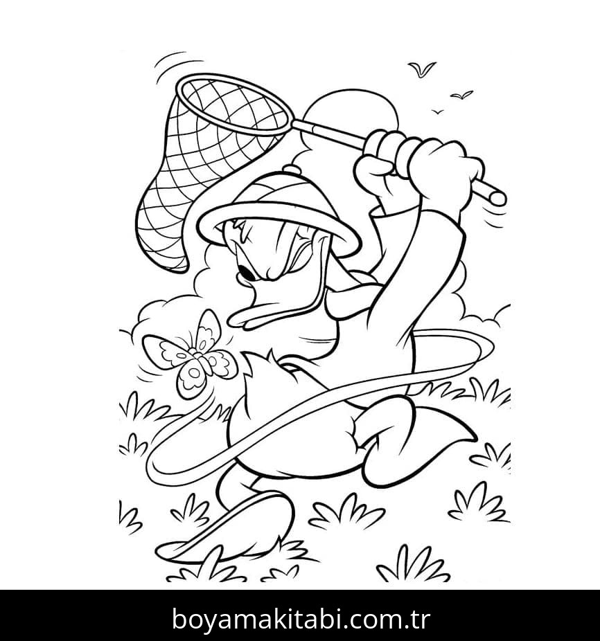 Donald Duck