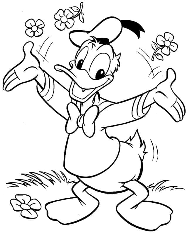 Donald Duck