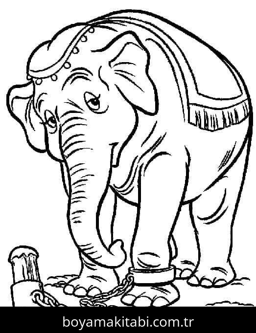 Dumbo