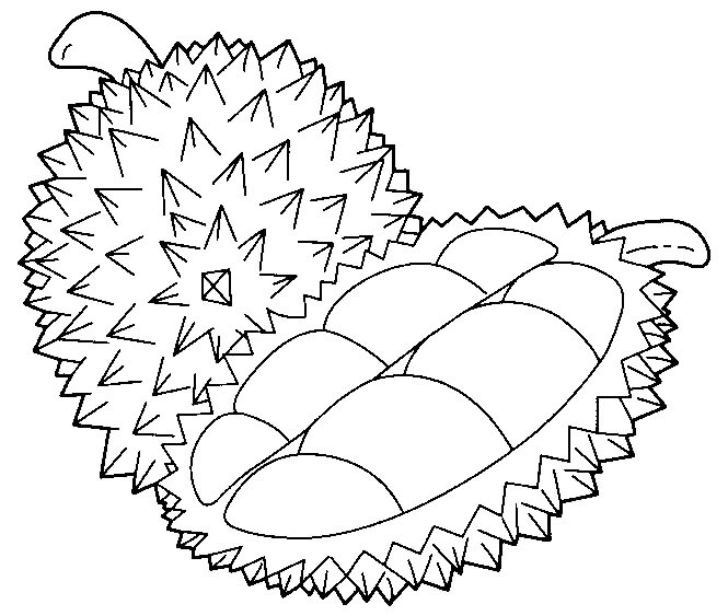 Durian