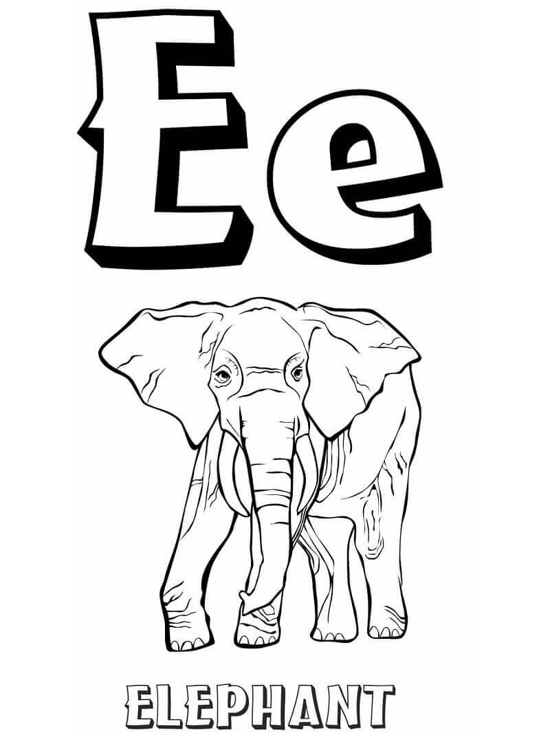 E Harfi