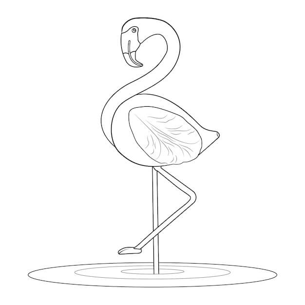Flamingo