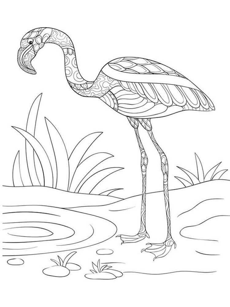 Flamingo