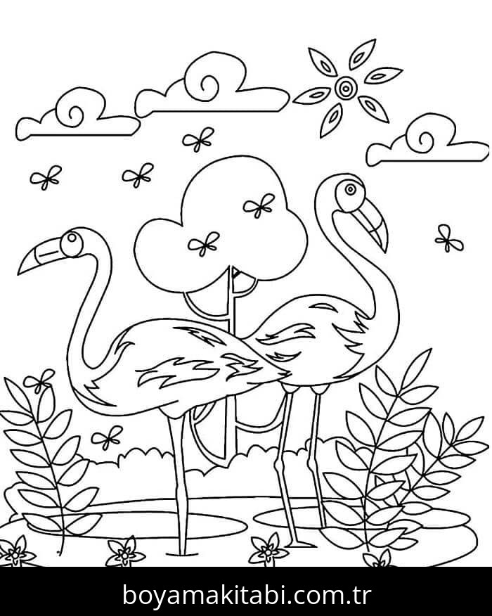 Flamingo