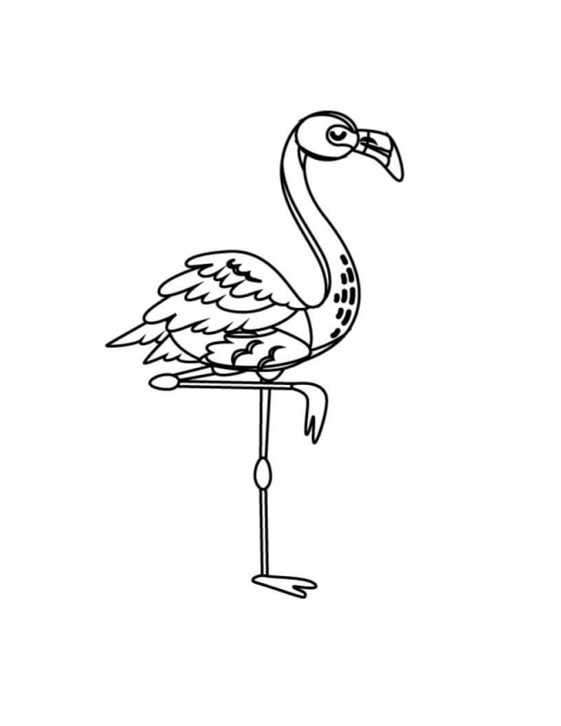 Flamingo