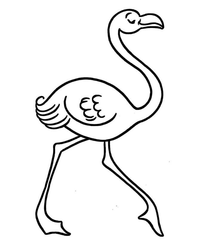 Flamingo