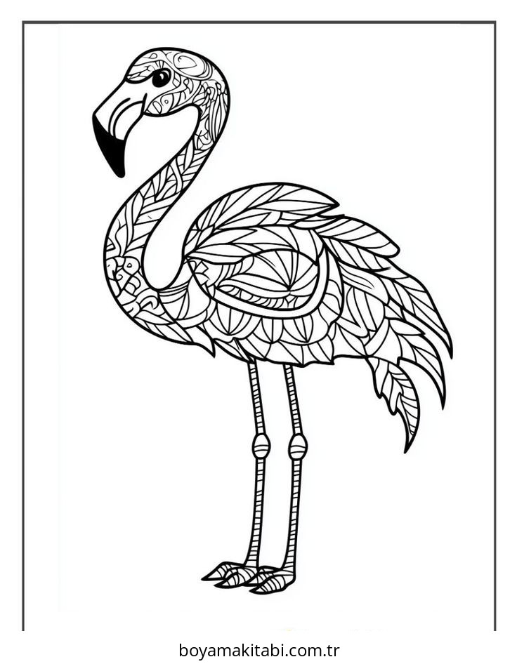 Flamingo