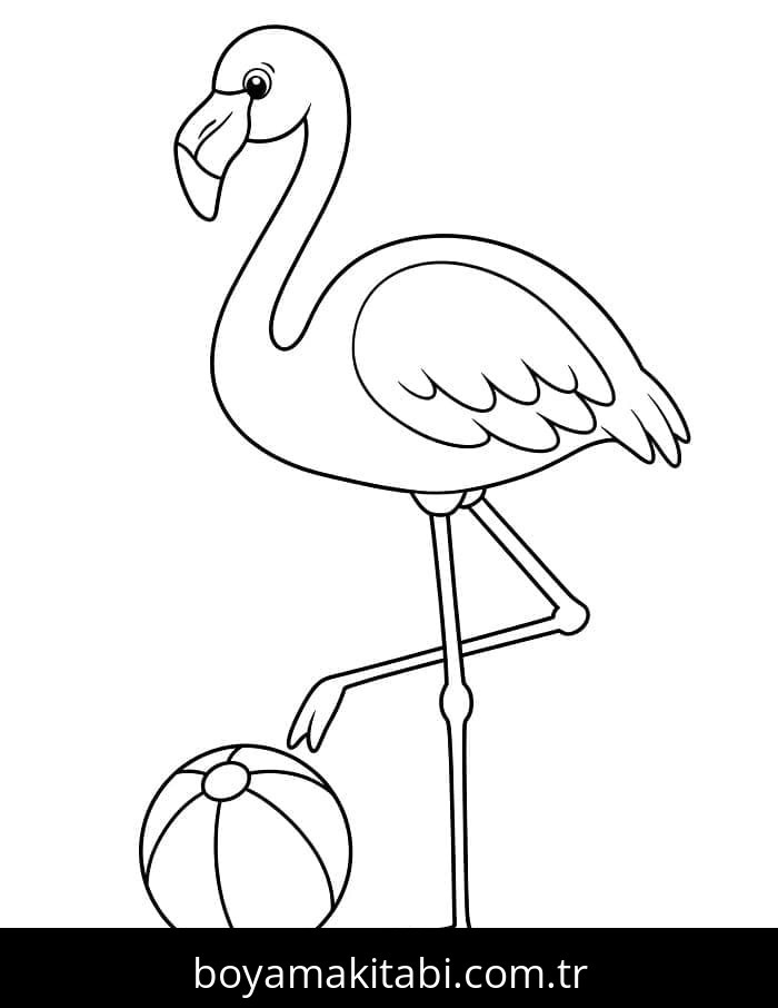 Flamingo