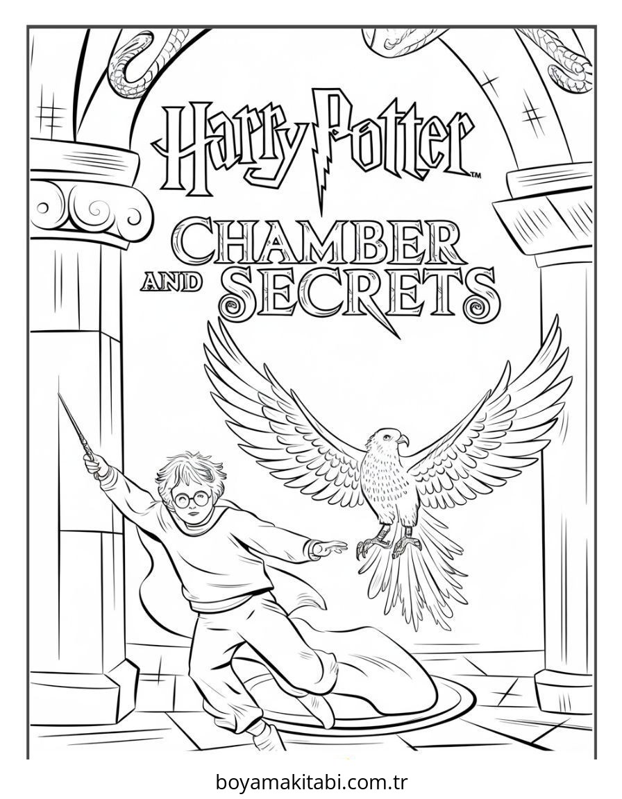 Harry Potter