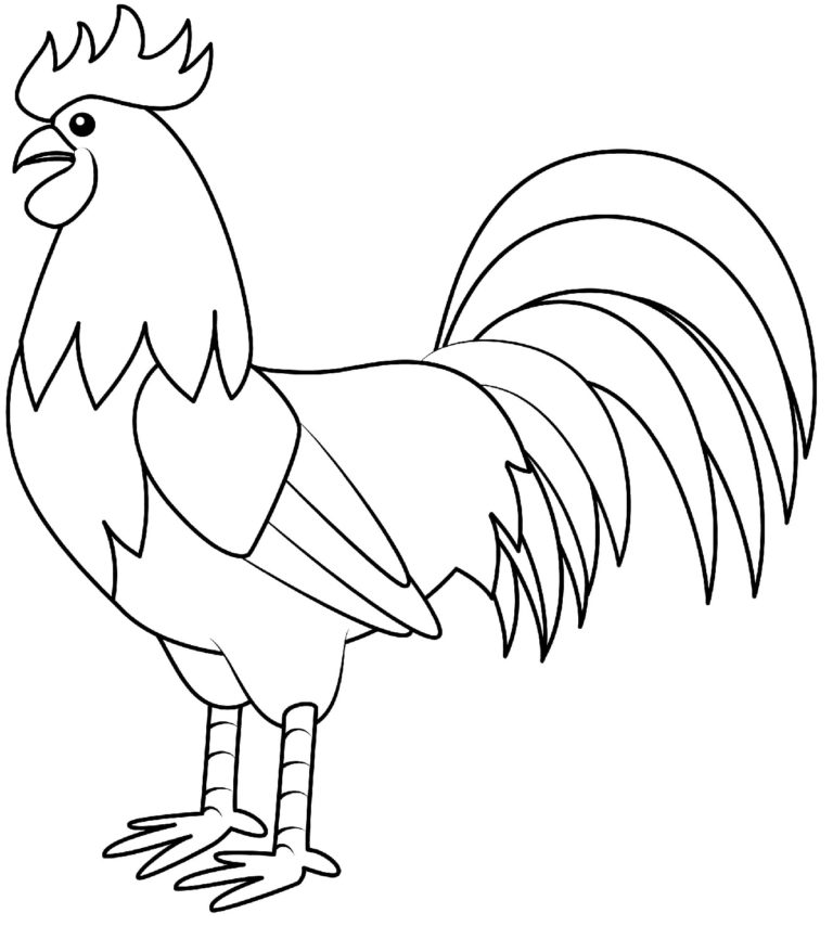 Horoz
