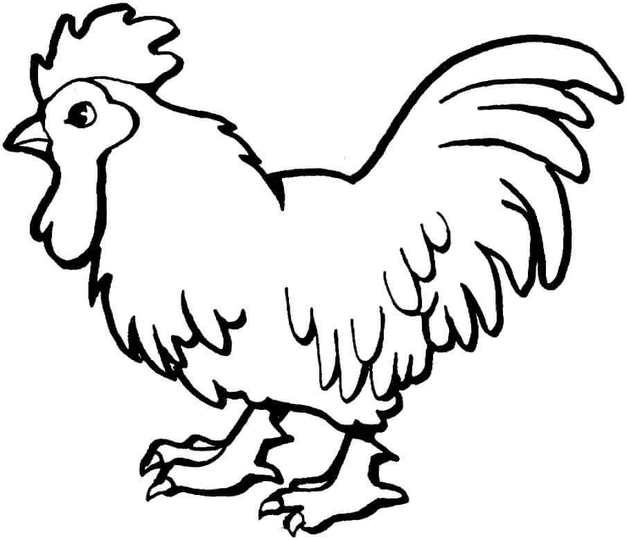 Horoz